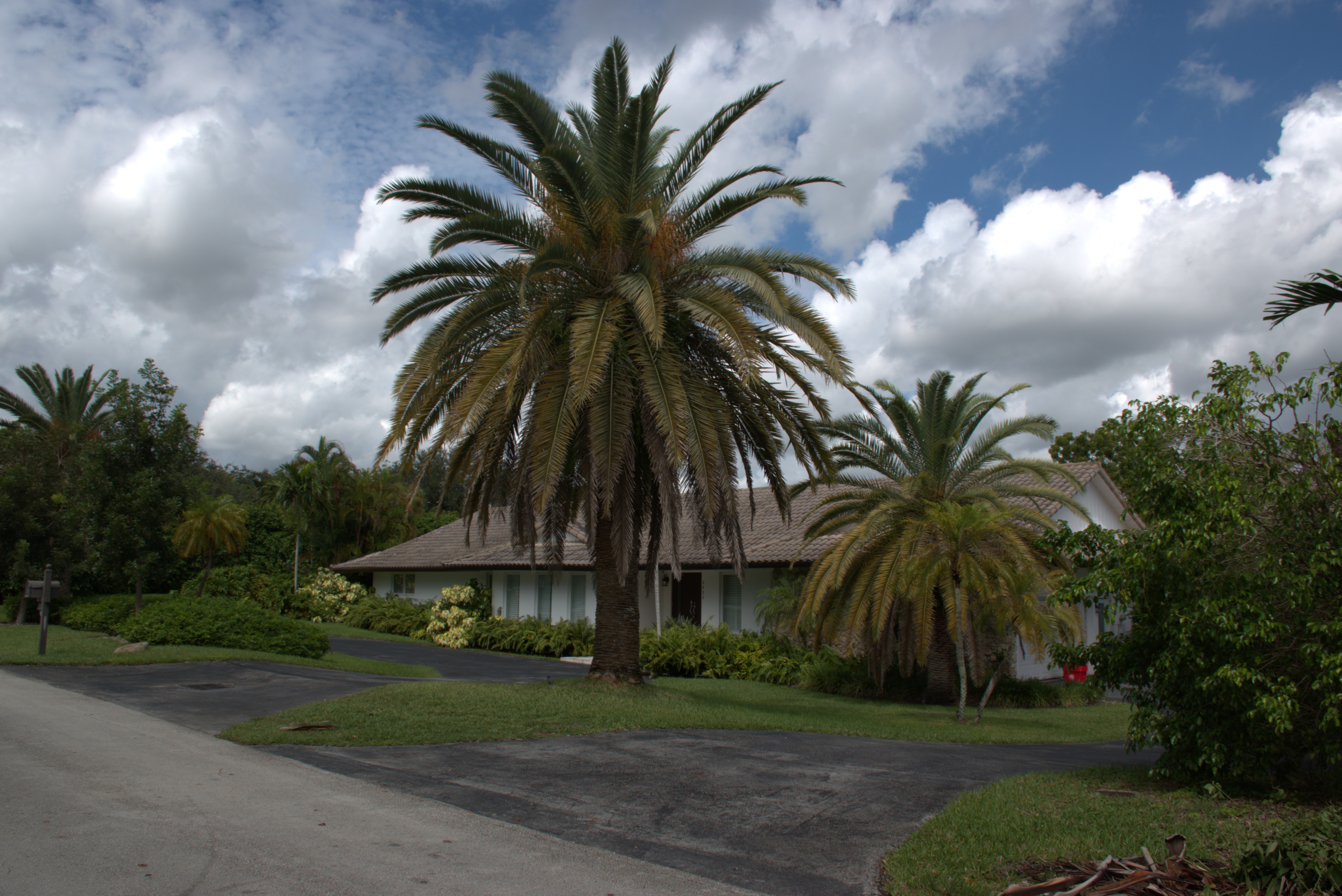 Property photo at 5925 SW 117 St, Coral Gables, FL